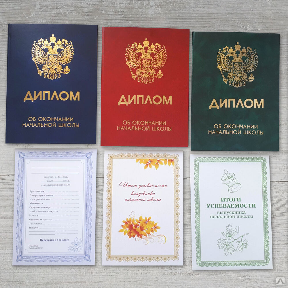 дипломы по цвету. грамота с цветами. грамота с цветами. дипломы по цветам. детские грамоты.