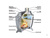Печь отопительно-варочная Стокер-170 Аква С-стекло Печи Ермак #2