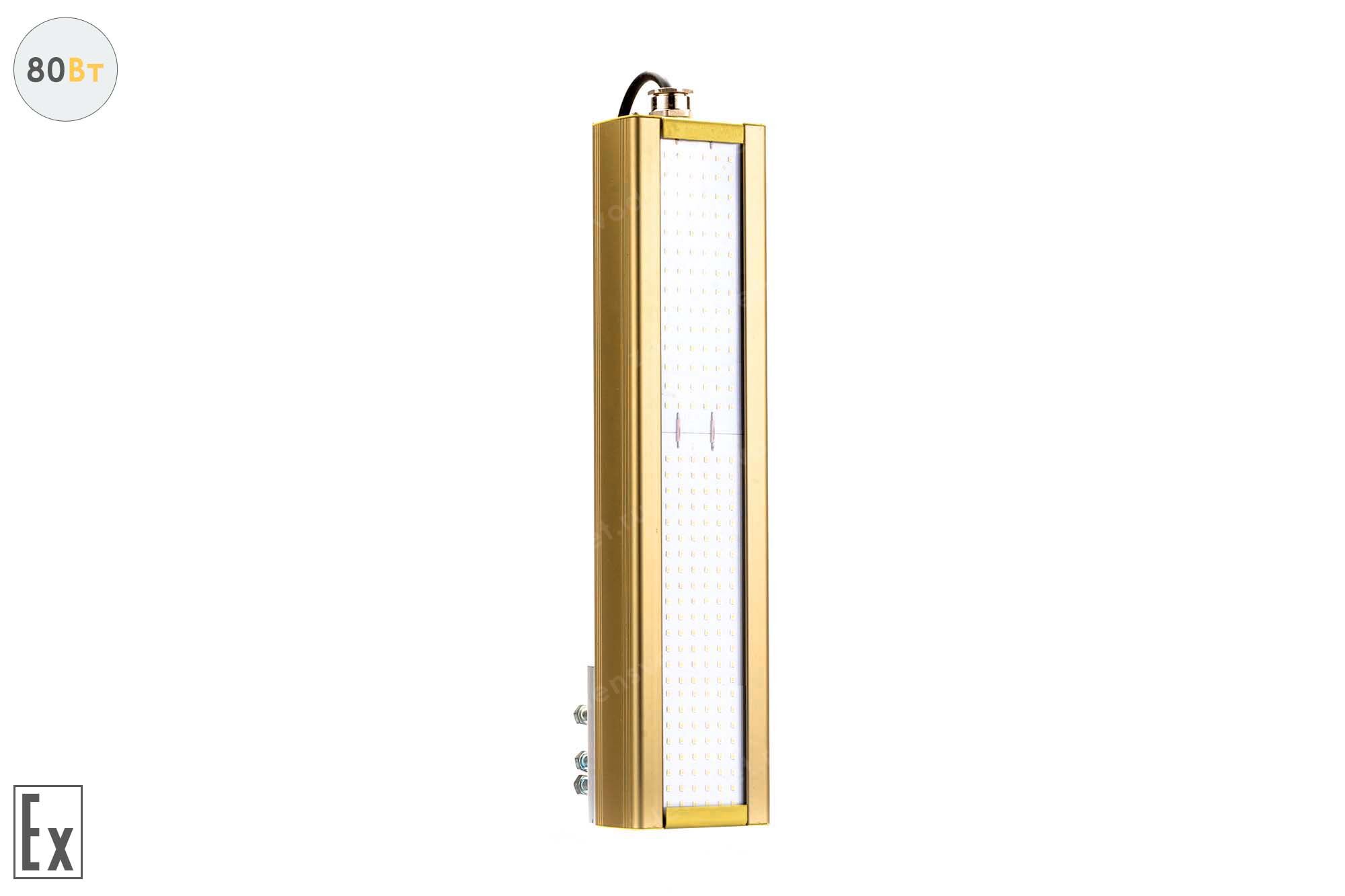 Светодиодный светильник Модуль Взрывозащищенный GOLD, консоль K-1, 80 Вт
