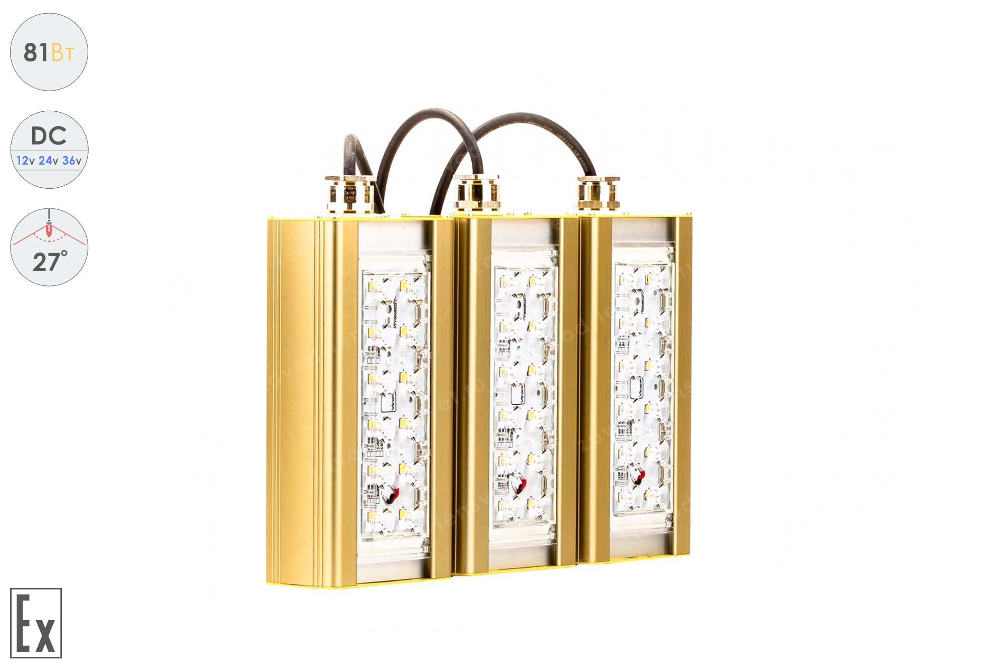 Светодиодный светильник Низковольтный Прожектор Взрывозащищенный GOLD, консоль K-3, 81 Вт, 27°