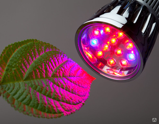 Лампа светодиодная LED-E27-6LED-240V-1,5W-R красный 