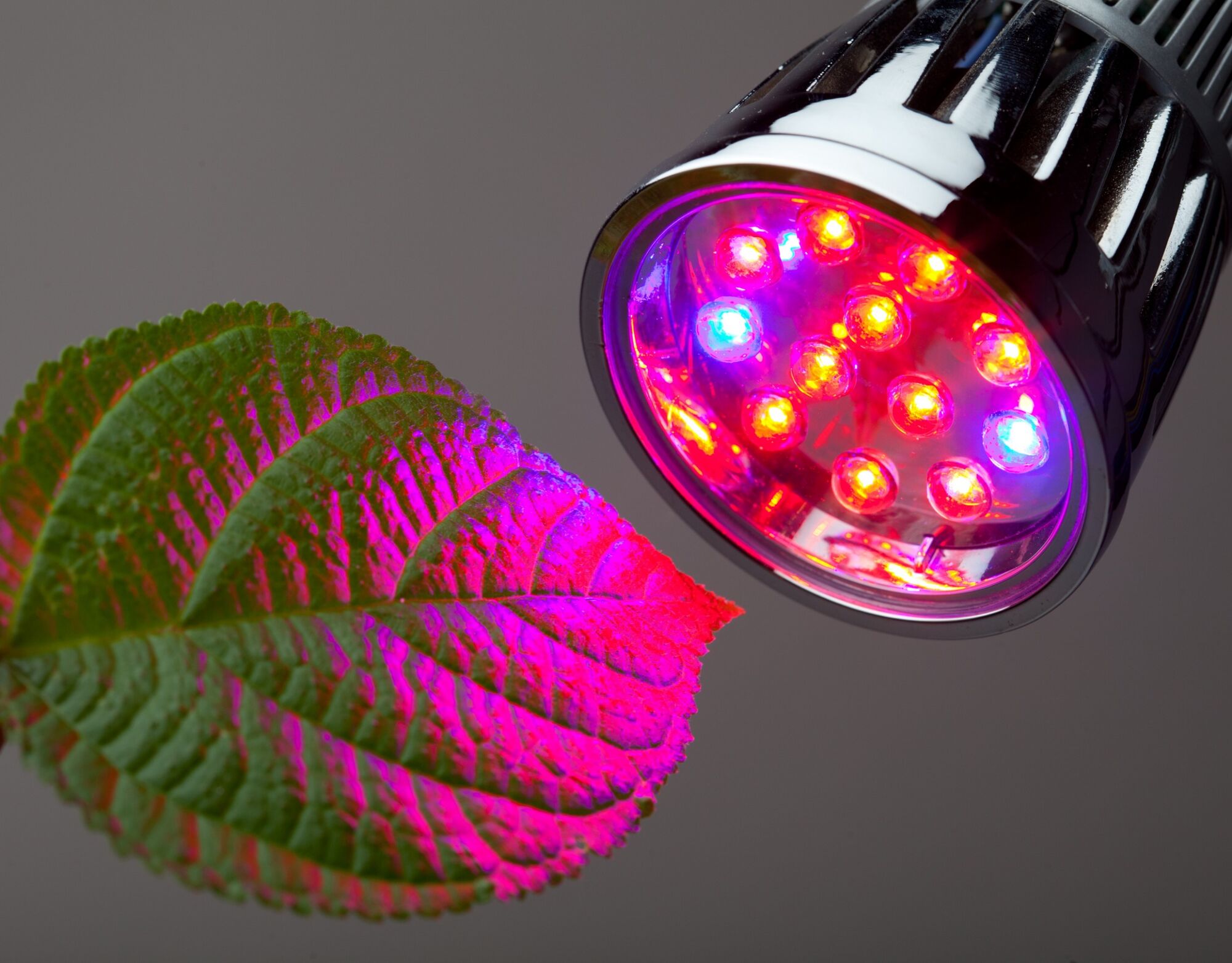 Лампа светодиодная LED-E27-6LED-240V-1,5W-W белый
