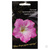 Семена Петуния Крупноцветковая Танго Роуз F1 ярко-розовая с широкой белой полосой 7 шт #1