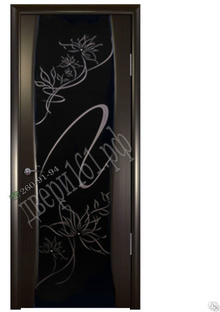 Дверь шпон Буревестник ( чёрное широкое стекло с рисунком и стразами) . 
